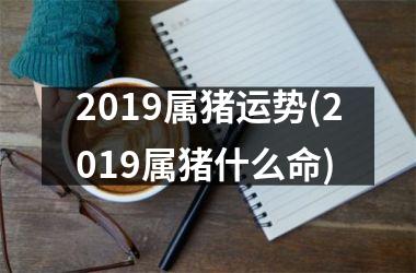 2019属猪运势(2019属猪什么命)
