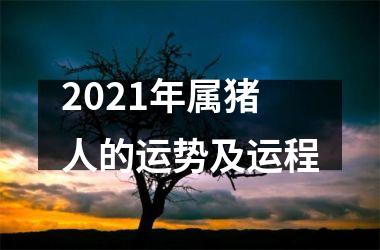 2025年属猪人的运势及运程