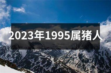 2025年1995属猪人
