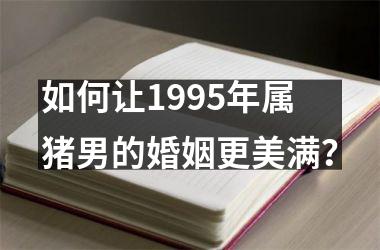 如何让1995年属猪男的婚姻更美满？