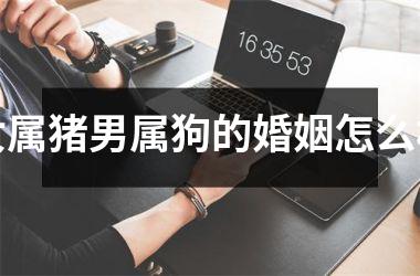 女属猪男属狗的婚姻怎么样