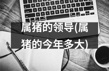 属猪的领导(属猪的今年多大)