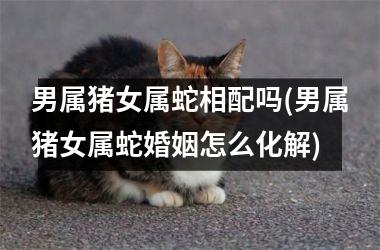 男属猪女属蛇相配吗(男属猪女属蛇婚姻怎么化解)
