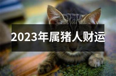 2025年属猪人财运