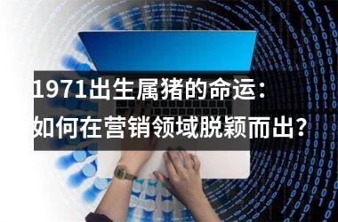 1971出生属猪的命运：如何在营销领域脱颖而出？