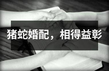 猪蛇婚配，相得益彰