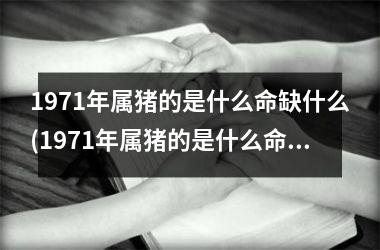 <h3>1971年属猪的是什么命缺什么(1971年属猪的是什么命五行缺什么)