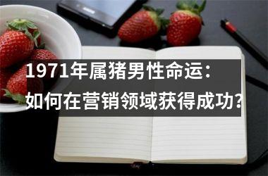 1971年属猪男性命运：如何在营销领域获得成功？