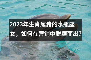 2025年生肖属猪的水瓶座女，如何在营销中脱颖而出？