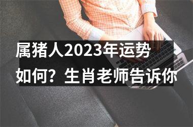 属猪人2025年运势如何？生肖老师告诉你