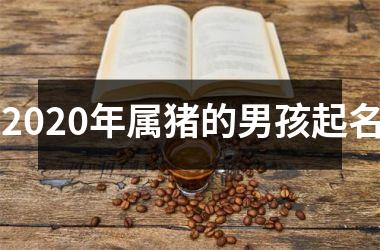 2025年属猪的男孩起名