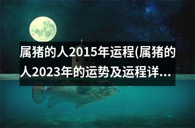 属猪的人2015年运程(属猪的人2025年的运势及运程详解)