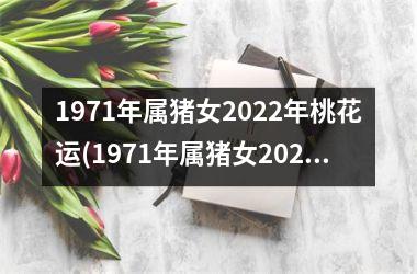 1971年属猪女2025年桃花运(1971年属猪女2025年运势及运程)