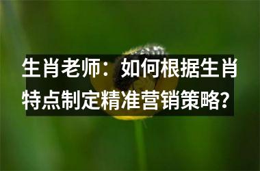 生肖老师：如何根据生肖特点制定精准营销策略？