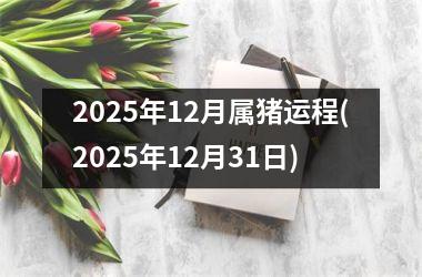 2025年12月属猪运程(2025年12月31日)