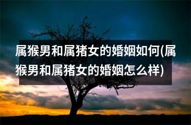 属猴男和属猪女的婚姻如何(属猴男和属猪女的婚姻怎么样)