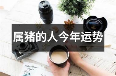 属猪的人今年运势