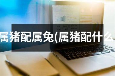 属猪配属兔(属猪配什么)