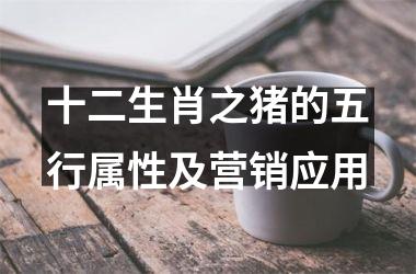 十二生肖之猪的五行属性及营销应用