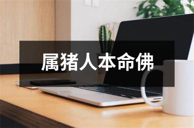 <h3>属猪人本命佛