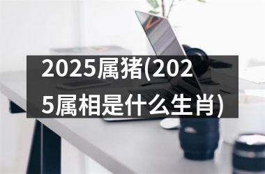 2025属猪(2025属相是什么生肖)