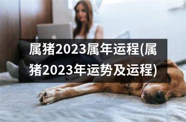 属猪2025属年运程(属猪2025年运势及运程)