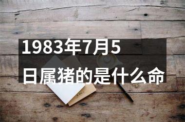 1983年7月5日属猪的是什么命