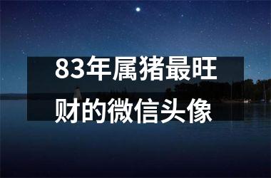 83年属猪旺财的微信头像