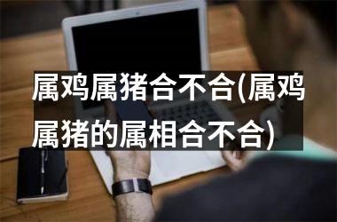 属鸡属猪合不合(属鸡属猪的属相合不合)