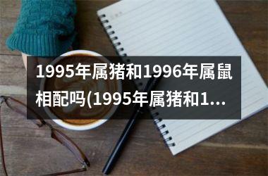 1995年属猪和1996年属鼠相配吗(1995年属猪和1996年属鼠相配吗)