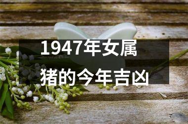 1947年女属猪的今年吉凶