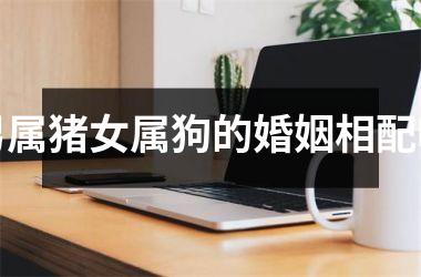 男属猪女属狗的婚姻相配吗