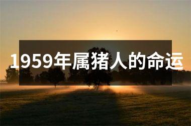 1959年属猪人的命运