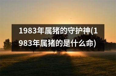 1983年属猪的守护神(1983年属猪的是什么命)