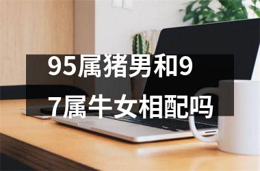 95属猪男和97属牛女相配吗