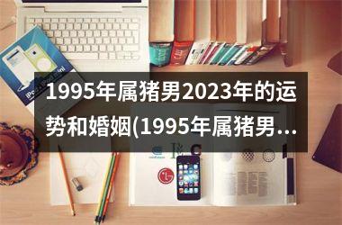 1995年属猪男2025年的运势和婚姻(1995年属猪男2025年适合几月结婚)