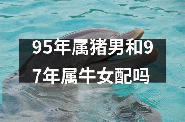 95年属猪男和97年属牛女配吗