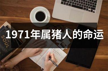 1971年属猪人的命运