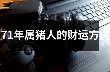 71年属猪人的财运方向