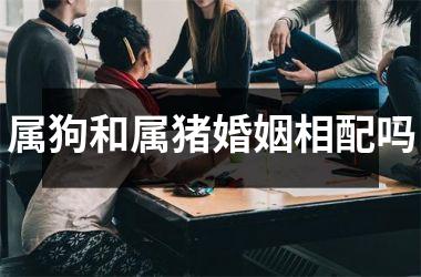 <h3>属狗和属猪婚姻相配吗