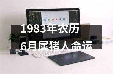 <h3>1983年农历6月属猪人命运