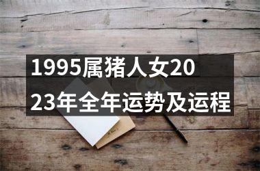 <h3>1995属猪人女2025年全年运势及运程