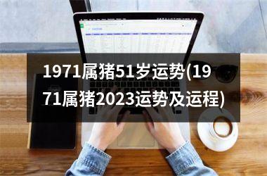 1971属猪51岁运势(1971属猪2025运势及运程)