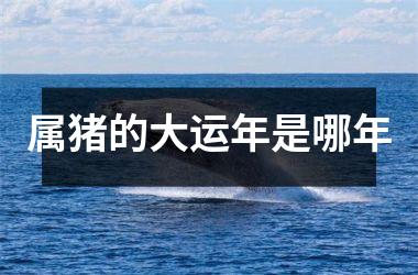 属猪的大运年是哪年