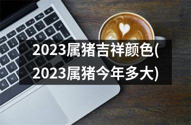 <h3>2025属猪吉祥颜色(2025属猪今年多大)