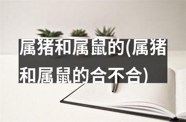 属猪和属鼠的(属猪和属鼠的合不合)