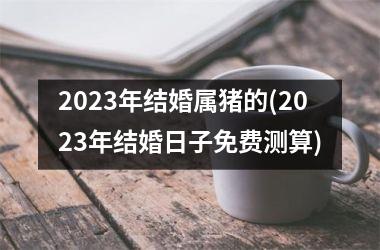 2025年结婚属猪的(2025年结婚日子免费测算)