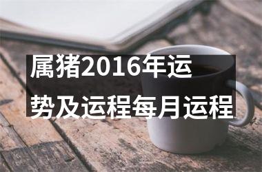 属猪2016年运势及运程每月运程
