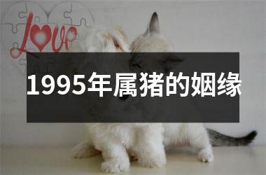 1995年属猪的姻缘