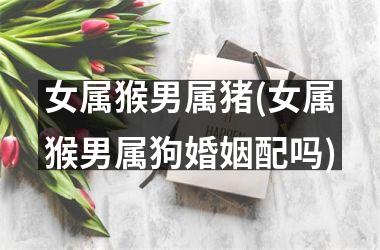 女属猴男属猪(女属猴男属狗婚姻配吗)